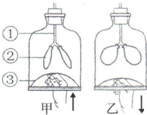 魔方格