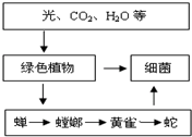 魔方格