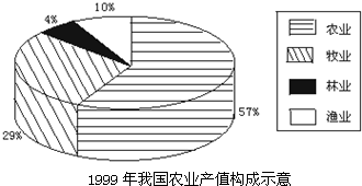 魔方格