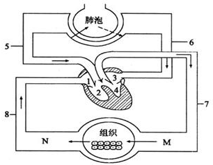 魔方格