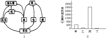 魔方格