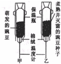 魔方格