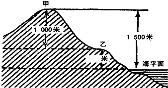 魔方格