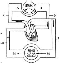 魔方格