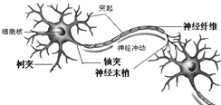 魔方格