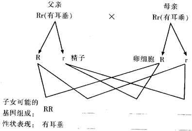 魔方格