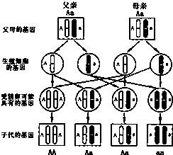 魔方格