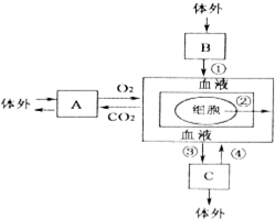 魔方格