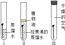 魔方格