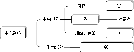 魔方格