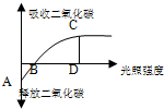 魔方格