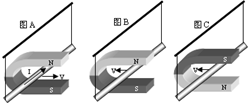 魔方格