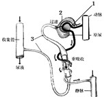 魔方格