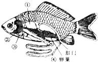 魔方格