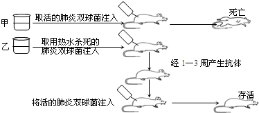 魔方格