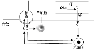 魔方格