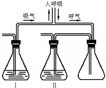 魔方格