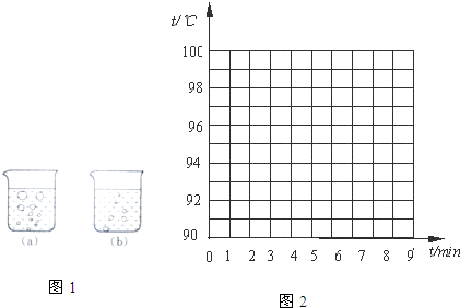 魔方格