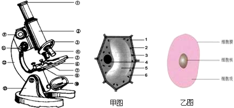 魔方格