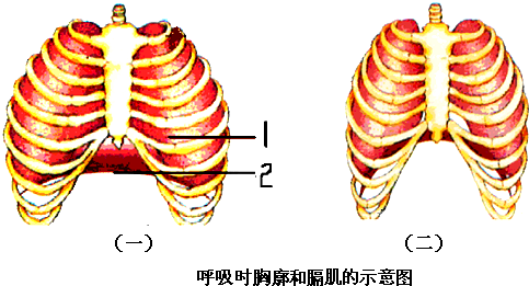 魔方格