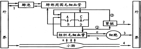 魔方格