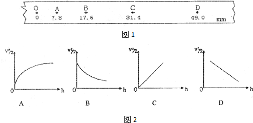 魔方格