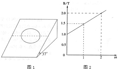 魔方格