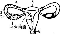 魔方格