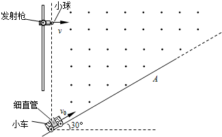 魔方格